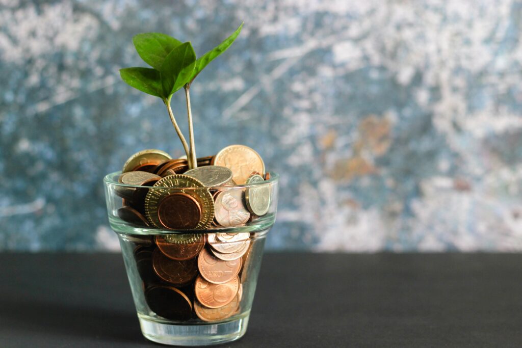 An image showing a plant growing from coins rather than regular soil